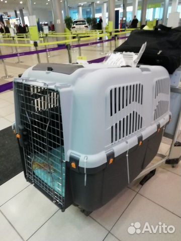 Клетка для перевозки собаки в самолете купить на Зозу.ру - фотография № 3