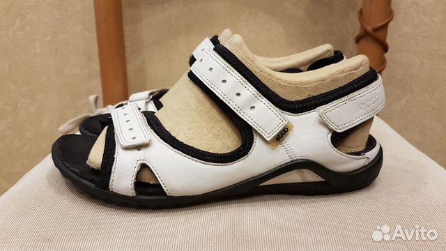 ecco vibration