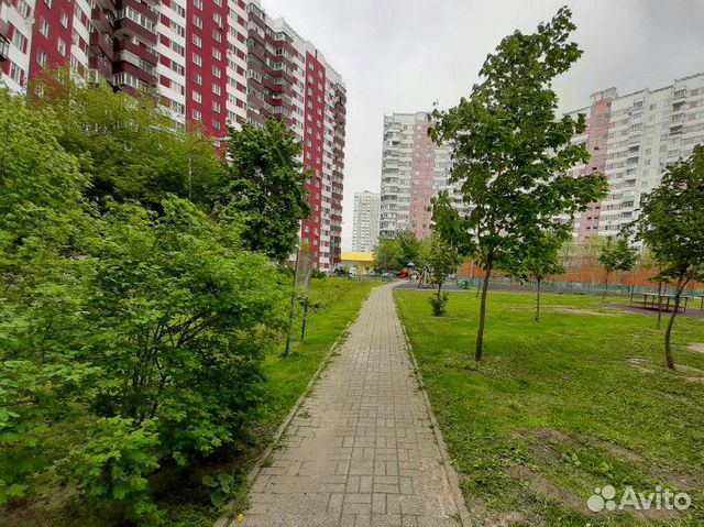 Студия, 16 м², 1/17 эт. Студия, 16 м², 1/17 эт.