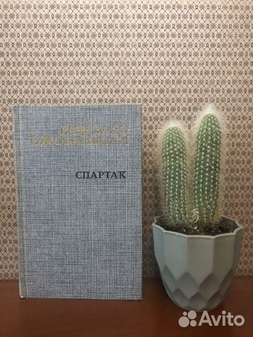 Р. Джованьоли. Спартак Р. Джованьоли. Спартак