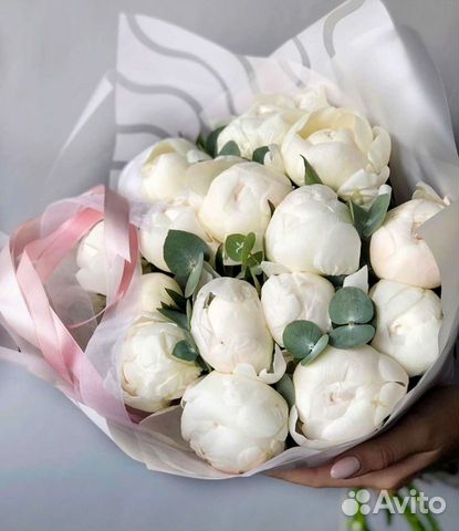 25 пионов