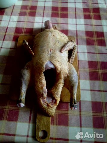 Мясо индоутки