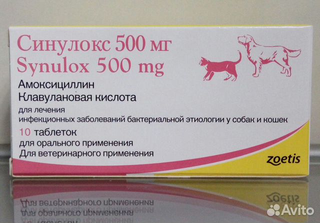 Купить синулокс 50 для кошек. Синулокс 500 мг. Синулокс 500 мг для собак уколы. Синулокс 50 мл.