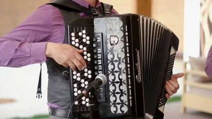 Баянист на ваш праздник