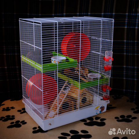 Клетка для крыс хомяков песчанок грызунов