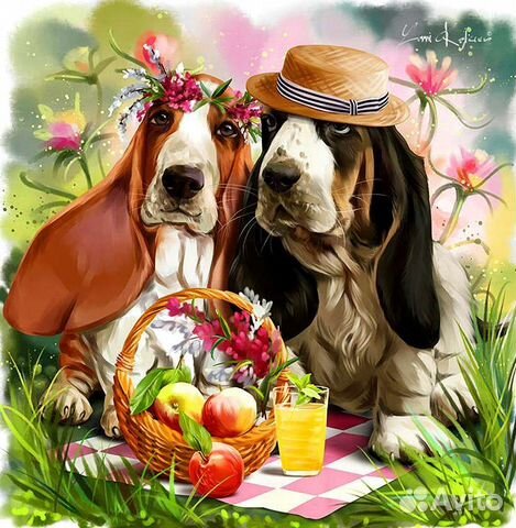 Инструктор по вязке собак