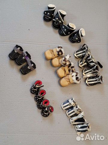 Обувь для маленьких собак