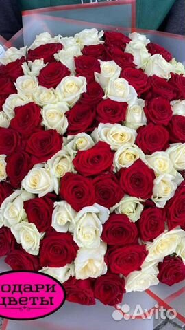 Розы выращенные в России, Армении, Эквадор