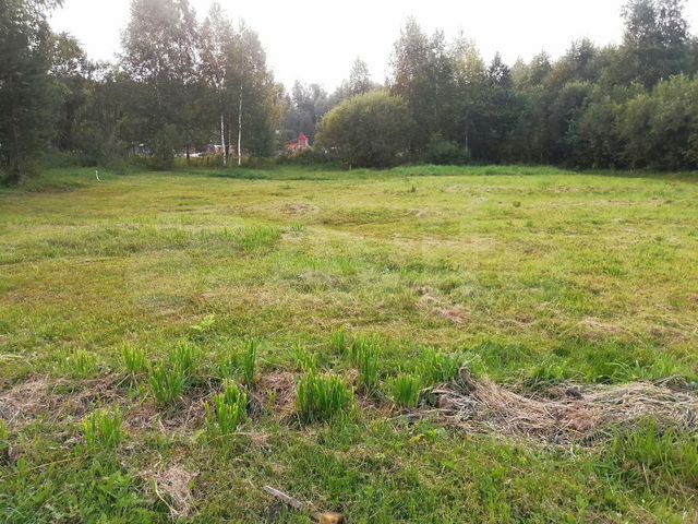 Участок 5 сот. (СНТ, ДНП)