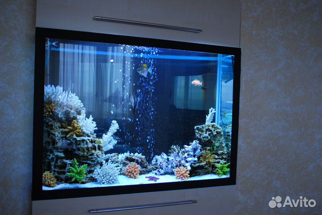 Обслужу и оформлю аквариумы