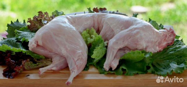 Мясо кролика