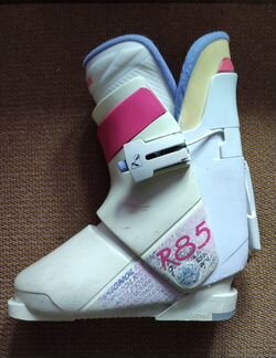 Горнолыжные ботинки