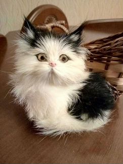 Пушистая кошечка в корзинке