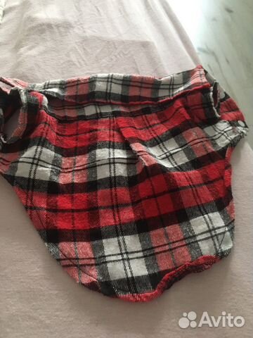 Модная рубашка для собак мелких пород