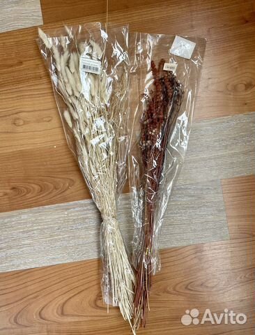 Сухоцветы для творчества