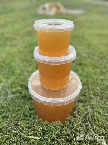 Мёд липовый 2023