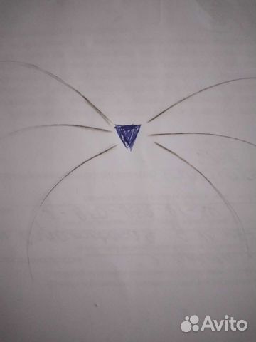 Усы,вибрисы сиамского кота