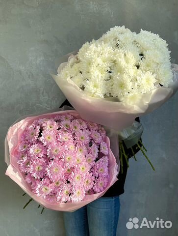 5 Хризантем