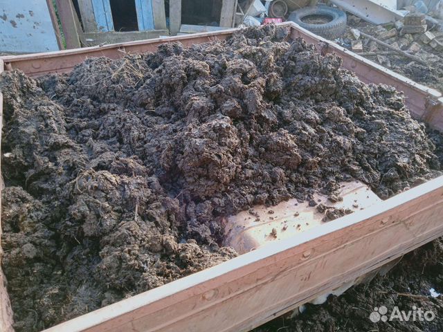 Навоз коровий, отдам бесплатно, самовывоз