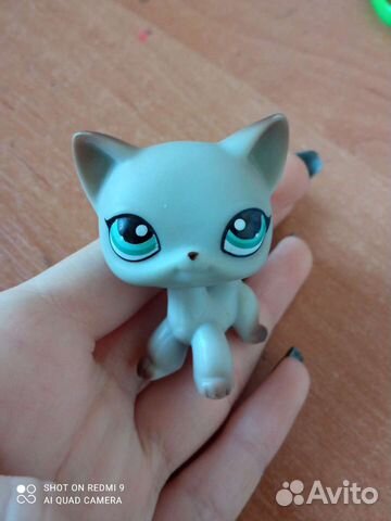 Littlest Pet Shop