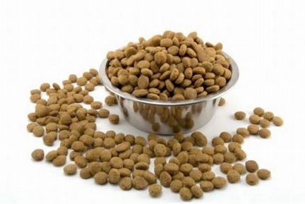 Сухие корма для собак от известных производителей