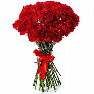 Гвоздика оптом от 25шт