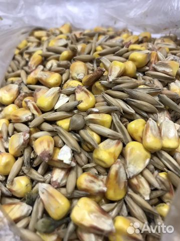 Корм для грызунов хомяков дегу шиншилл крыс