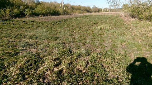 Участок 10 сот. (ИЖС)