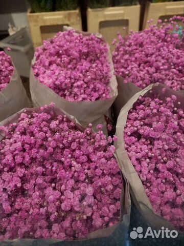 Гипсофила букет гипсофилы на 14 февраля доставка