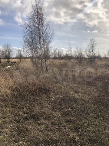 Участок 10 сот. (СНТ, ДНП)