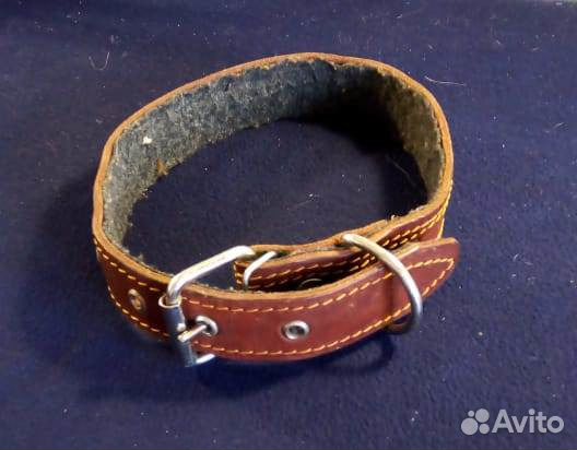 Ремень-ошейник