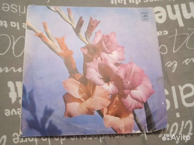 Виниловые пластинки СССР