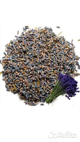 Лаванда цветки, россыпь