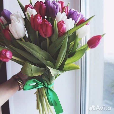 Тюльпаны Опт/Розница