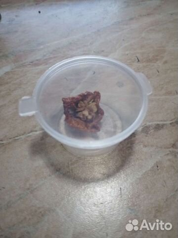 Перец Каролина Рипер, Carolina Reaper Pepper