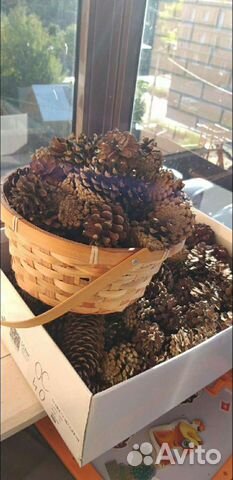 Шишки еловые и сосновые сухие