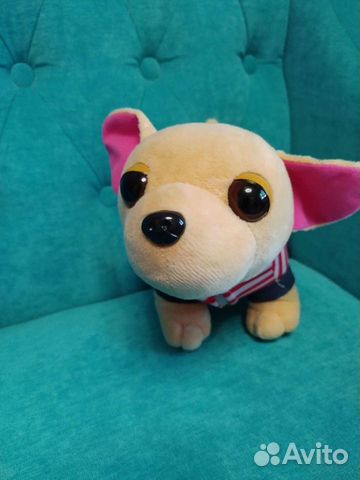 Собака чичилав