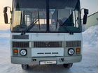 Междугородний / Пригородный автобус ПАЗ 3206-110, 2012