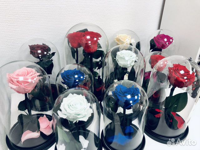 Роза в колбе