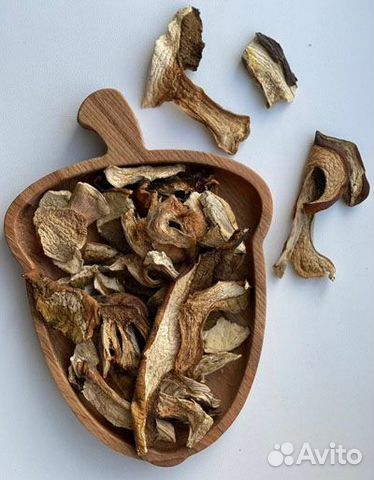 Гриб Мейтаке