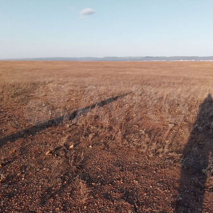 Участок ижс чита. Застепь Чита. Село Застепь Забайкальский край. Село Застепь Чита. Кладбище в Застепи Чита.