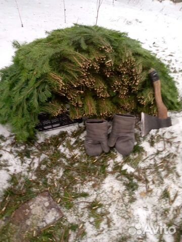 Банные веники пихтовые и можжевеловые