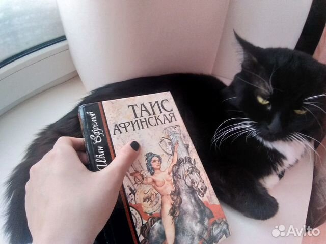 Иван Ефремов, 