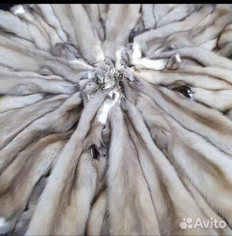 Шкурки куницы 3 шт