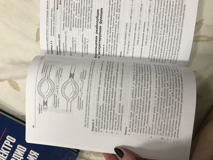 Патофизиология почки