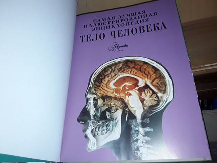 Гибберт Клэр. Тело человека