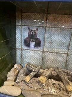 Керамическая плитка остатки