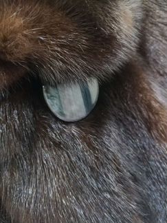 Норковая шуба