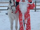 Дед мороз верхом на коне или в санях объявление продам