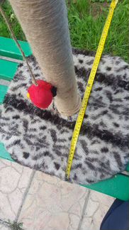 Когтеточка